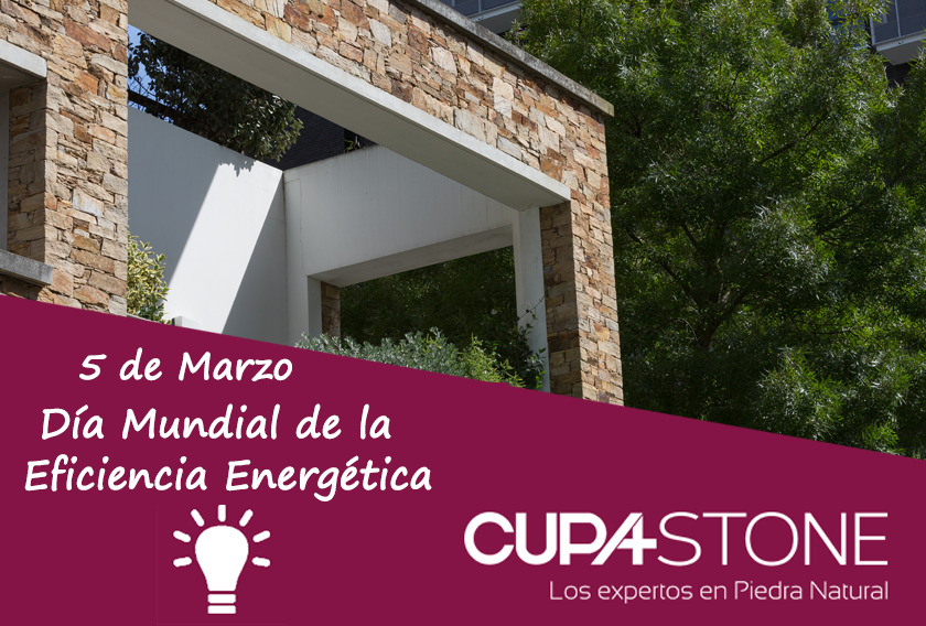 Día Mundial de la Eficiencia Energética