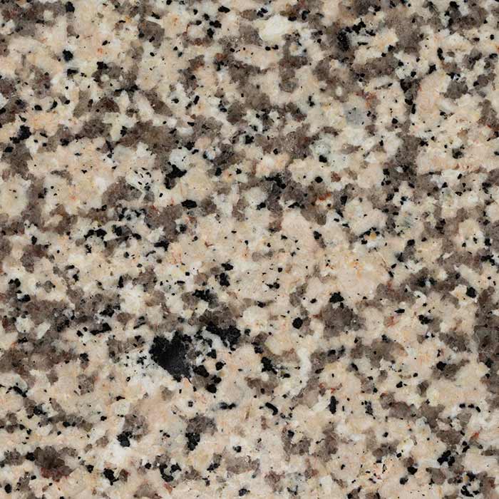 Granito Crema Camelia
