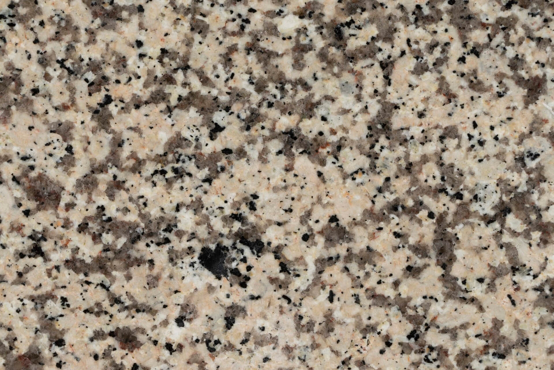 Granito Crema Camelia 1
