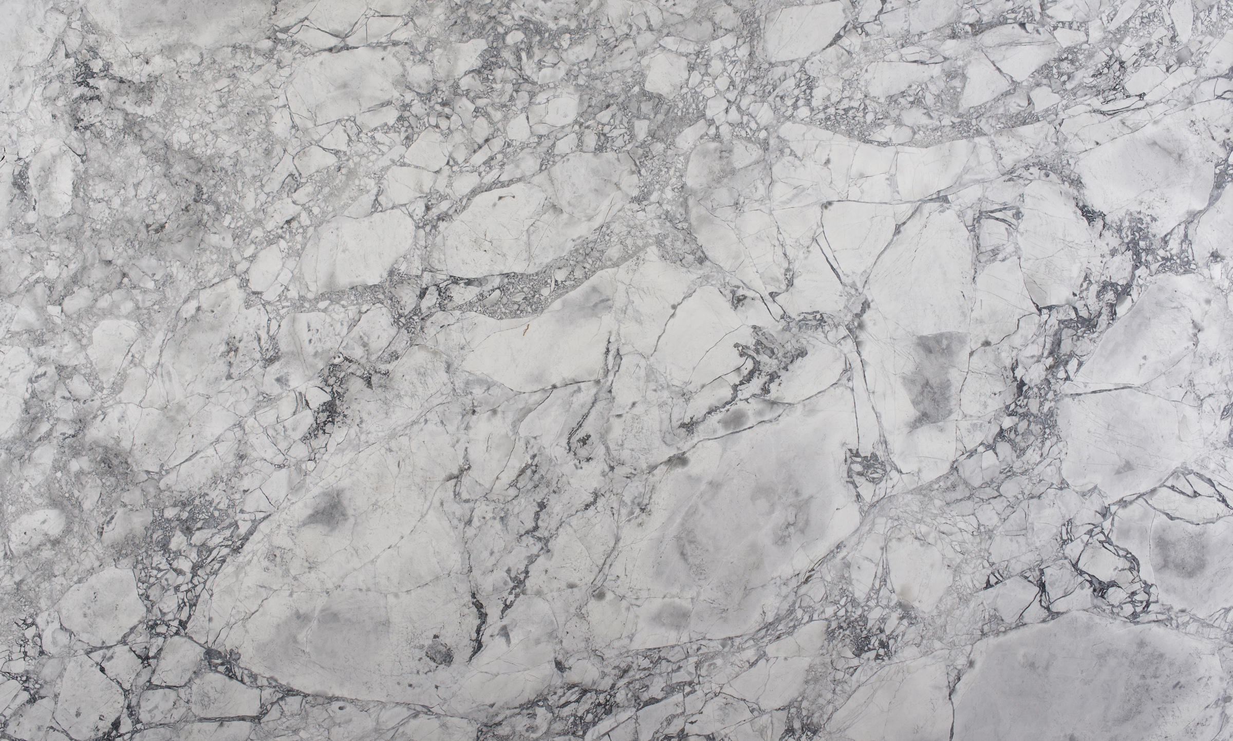 Terra® Oriella 6